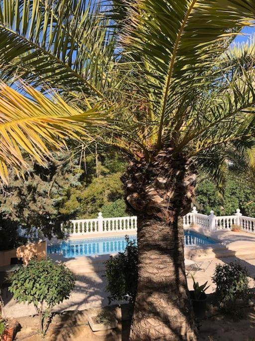 カルプCasa Con Piscinaアパートメント エクステリア 写真